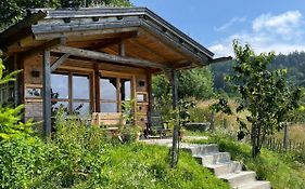 Berghütte am Grandsberg